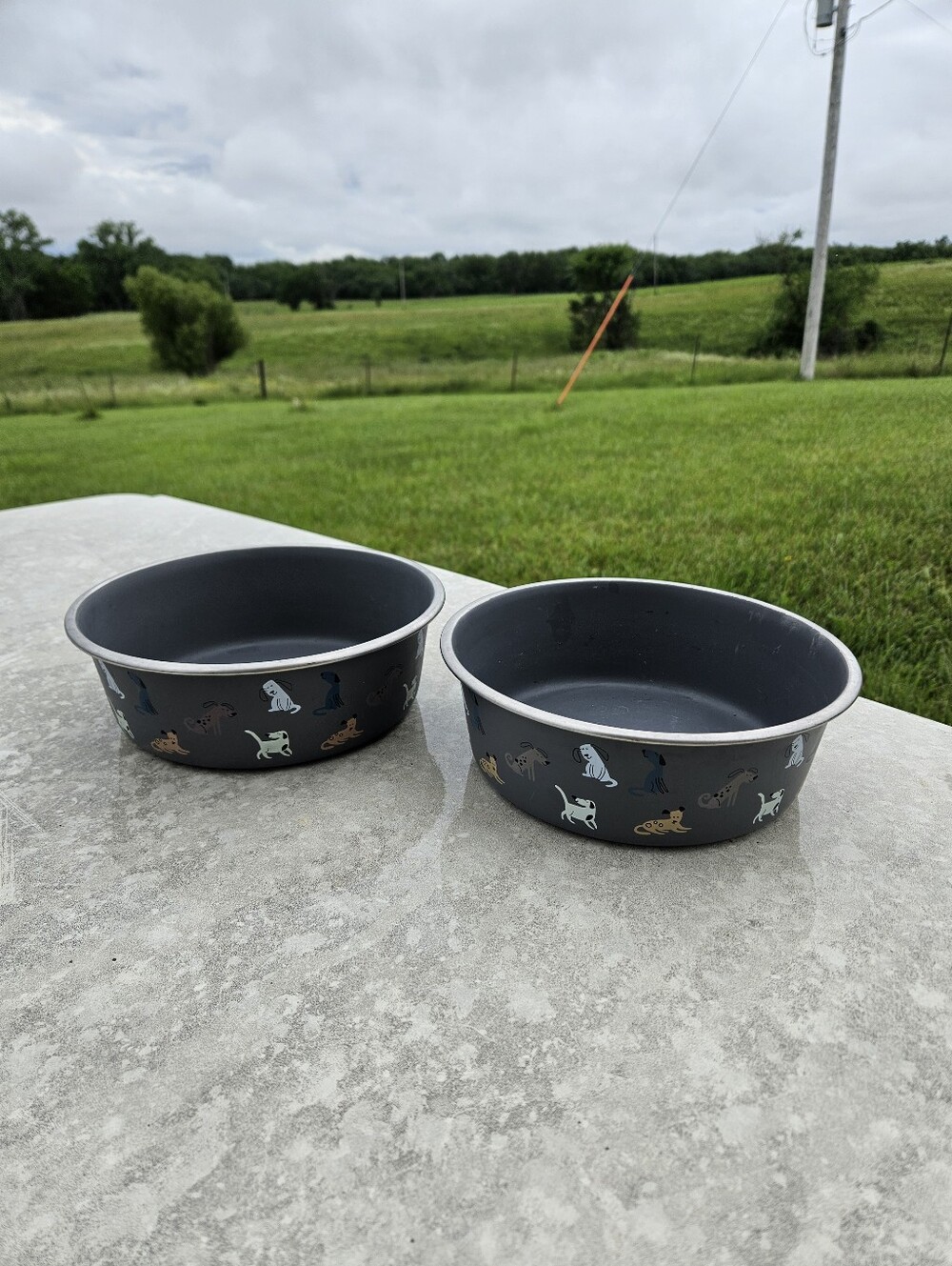 (Set of 2) Vibrant Life Large Stainless Steel Pet Bowls – 7.5 Cups / 64 fl oz
